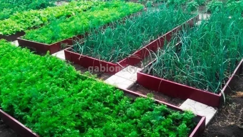 Забор Ранчо односторонний